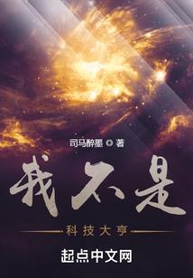 剑胆柔心