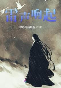 镶金人生
