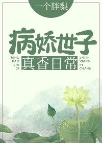 言丫头误入贵族学院