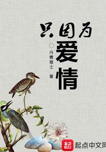 天圣焰阳