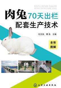 我的妻子是王子