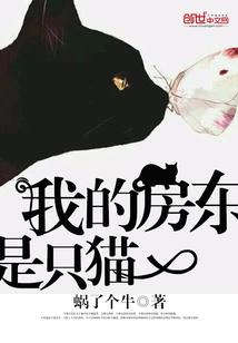 多元宇宙旅者