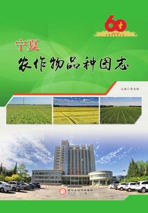 回到三国之蝴蝶效应