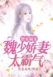 梦城忆