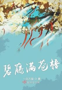 斯托拉S