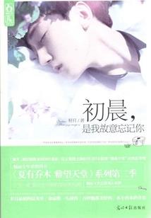 飞车游历记