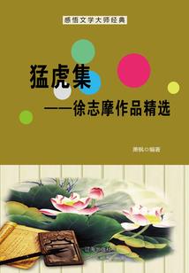 神奇的宇宙与万种人类