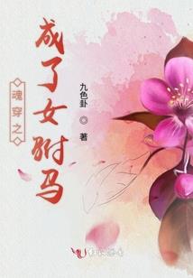 海贼王之气球果实