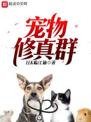 兵临青云宗