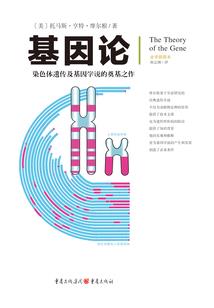 重生异能：娇妻不乖！