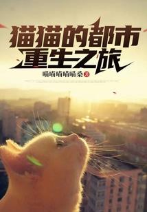 遇见你是晴天