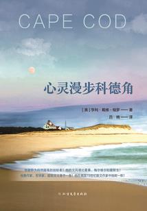 寂的夏
