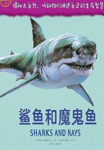 小贼修仙记
