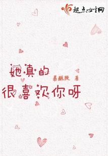 龙吟大陆