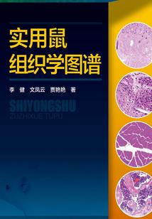 收徒弟万倍返还变强系统