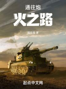 岚之传奇