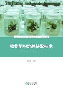 宇王神帝保佑着你