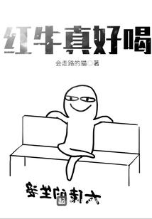 导游传
