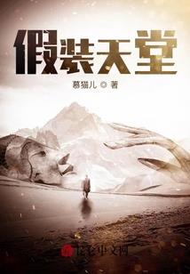 反穿局特工