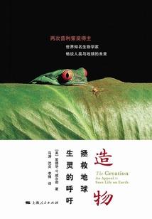 爱情悄悄来临