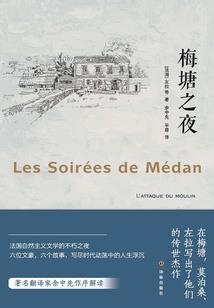 藏宇传