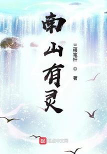 五星道士