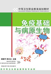 明末之农民崛起