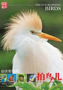 这个勇者很想退休