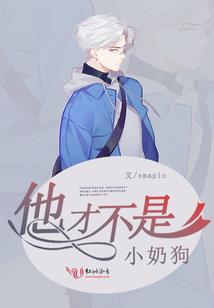 夏侯轻衣
