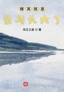 天之圣痕