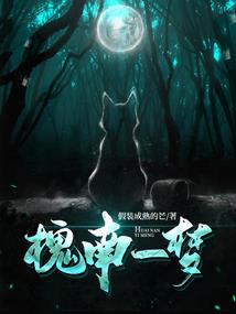 幻世归途