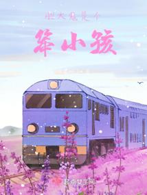 巅峰娱乐界