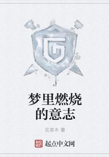圣灵纷争