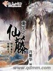霹雳之相随