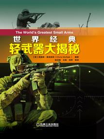 木叶：从艾尔登法环归来的大蛇丸