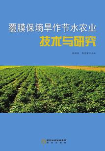阴阳玉剑