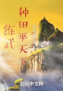 第七阶段十