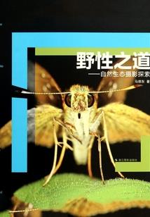 绝世疯魔