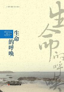 三生迷离