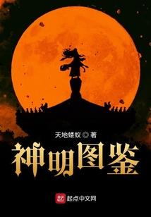 郑吒的圣杯