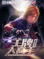 轮回猫游记