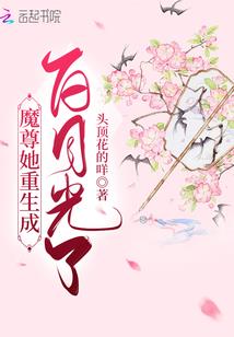 安龙寨遗事