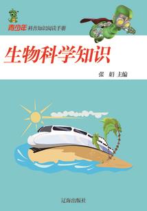 逍遥武途