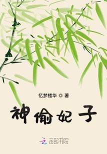 顶能特工穿成摄政公主